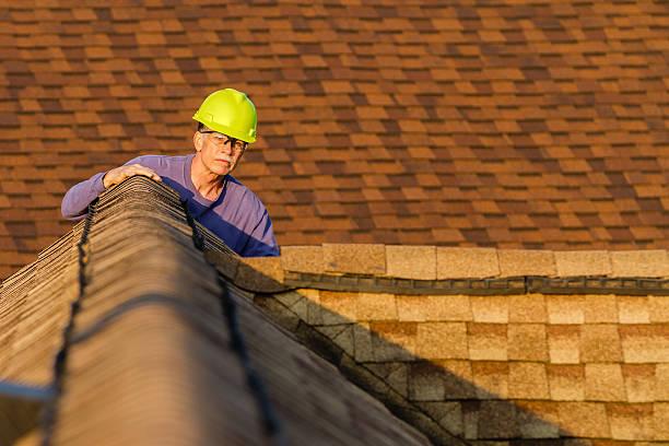 Roof Gutter Cleaning in Potomac Heights, MD